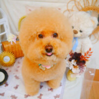 【池下店】2025年4月10日のワンちゃん達♪