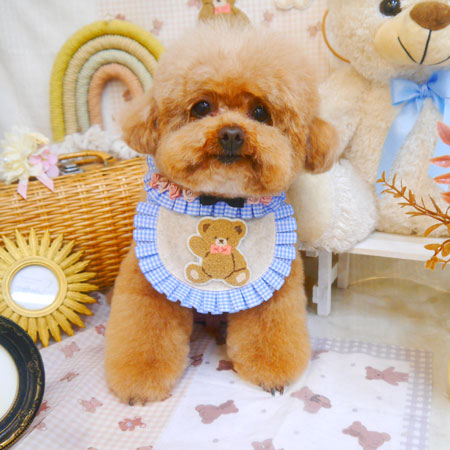 【池下店】2025年4月19日のワンちゃん達♪