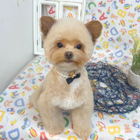 【池下店】2025年5月4日のワンちゃん達♪