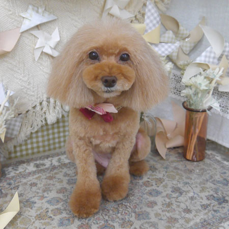 【山手店】2025年5月9日のワンちゃん達♪