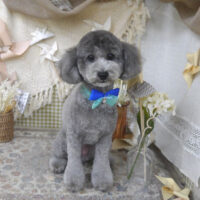 【山手店】2025年5月18日のワンちゃん達♪