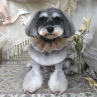 【山手店】2025年5月22日のワンちゃん達♪