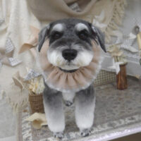 【山手店】2025年5月23日のワンちゃん達♪