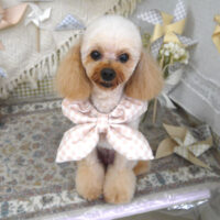 【山手店】2025年5月28日のワンちゃん達♪