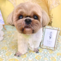 【池下店】2025年6月23日のワンちゃん達♪