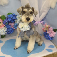 【山手店】2025年6月12日のワンちゃん達♪