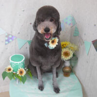 【山手店】2025年6月26日のワンちゃん達♪