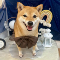 【池下店】2025年7月21日のワンちゃん達♪