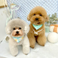 【池下店】2025年7月25日のワンちゃん達♪