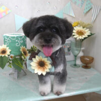 【山手店】2025年7月18日のワンちゃん達♪