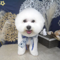 【山手店】2025年8月28日のワンちゃん達♪