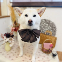 【池下店】2025年9月1日のワンちゃん達♪