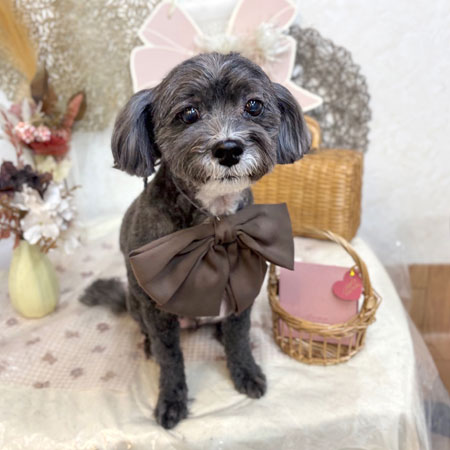 【池下店】2025年9月13日のワンちゃん達♪