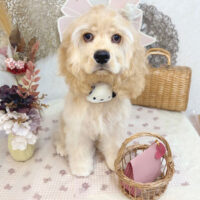 【池下店】2025年9月15日のワンちゃん達♪