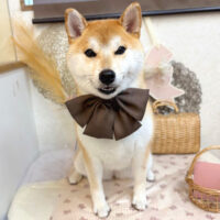 【池下店】2025年9月20日のワンちゃん達♪