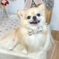 【池下店】2025年9月22日のワンちゃん達♪