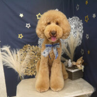 【山手店】2025年9月1日のワンちゃん達♪