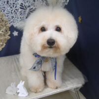 【山手店】2025年9月7日のワンちゃん達♪