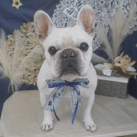 【山手店】2025年9月13日のワンちゃん達♪