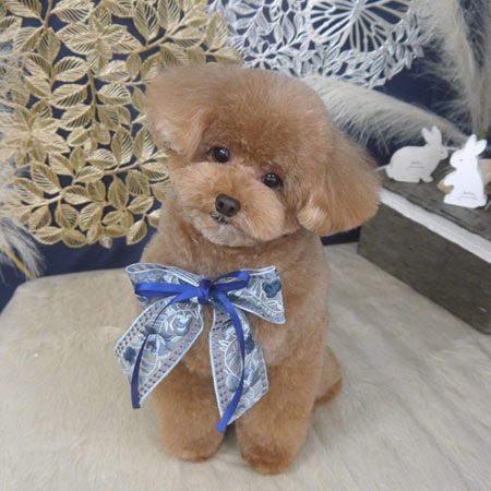 【山手店】2025年9月18日のワンちゃん達♪