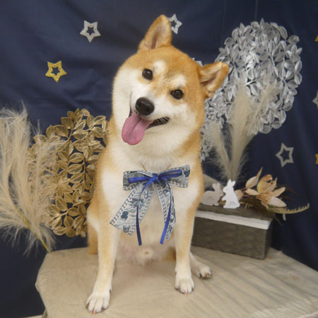 【山手店】2025年9月20日のワンちゃん達♪