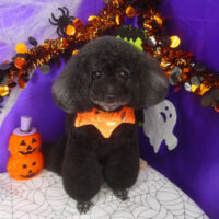 【山手店】2025年9月27日のワンちゃん達♪