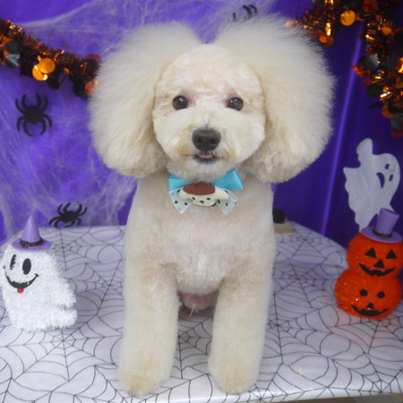 【山手店】2025年9月28日のワンちゃん達♪