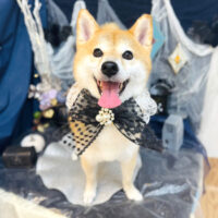 【池下店】2025年10月5日のワンちゃん達♪