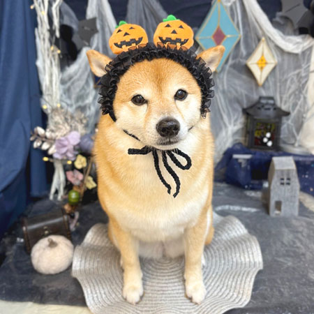 【池下店】2025年10月2日のワンちゃん達♪