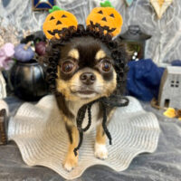 【池下店】2025年10月12日のワンちゃん達♪