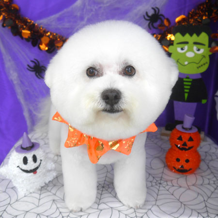 【山手店】2025年10月9日のワンちゃん達♪