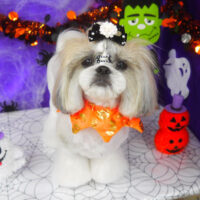 【山手店】2025年10月10日のワンちゃん達♪