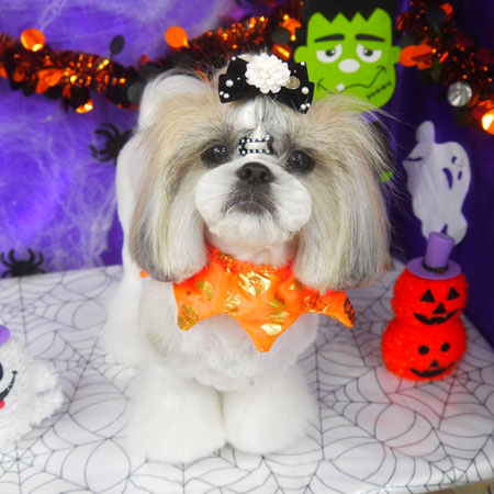 【山手店】2025年10月10日のワンちゃん達♪