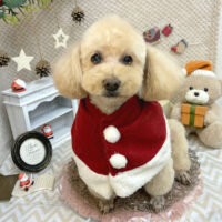 【池下店】2025年11月22日のワンちゃん達♪