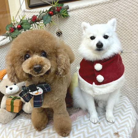 【池下店】2025年11月30日のワンちゃん達♪