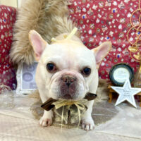 【池下店】2025年11月21日のワンちゃん達♪
