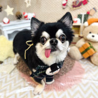 【池下店】2025年11月24日のワンちゃん達♪