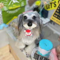 【本店】2025年11月20日のワンちゃん達♪
