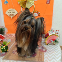 【池下店】2025年12月27日のワンちゃん達♪