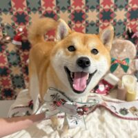 【星ヶ丘店】2025年12月4日のワンちゃん達♪