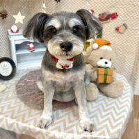 【池下店】2025年12月21日のワンちゃん達♪