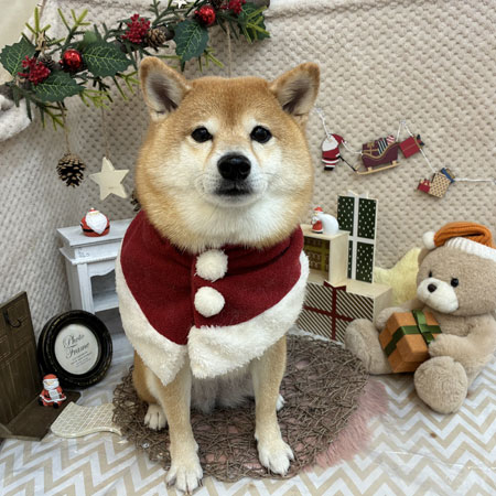 【池下店】2025年12月1日のワンちゃん達♪