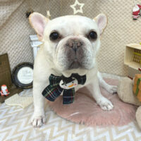 【池下店】2025年12月5日のワンちゃん達♪