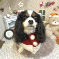 【池下店】2025年12月7日のワンちゃん達♪