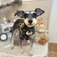 【池下店】2025年12月18日のワンちゃん達♪