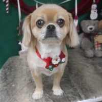 【山手店】2025年12月1日のワンちゃん達♪