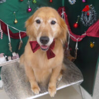 【山手店】2025年12月5日のワンちゃん達♪