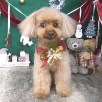 【山手店】2025年12月6日のワンちゃん達♪