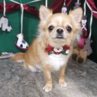 【山手店】2025年12月8日のワンちゃん達♪