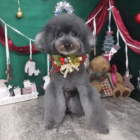 【山手店】2025年12月12日のワンちゃん達♪